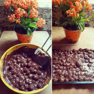 Dark Chocolate Macadamia Nuts Dark Chocolate Macadamia Nuts