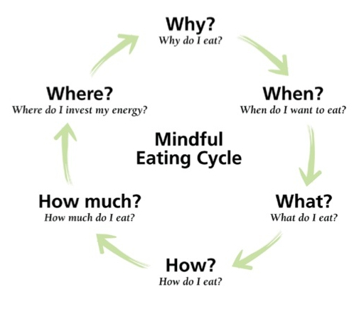Mindful Eating Cycle