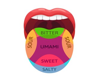 We have 5 primary taste sensations: Sweet, Sour, Salty, Bitter and Umami. Our ability to taste depends on the molecules set free when we chew or drink. Hundreds of substances, mostly found in plants, taste bitter and a little bitterness makes food interesting and very healthy. Antioxidants, which aid metabolism and help the body ward off cancer, account for much of the bitter taste of kale, arugula, dark chocolate and coffee. 

The good news is you can train your taste buds to prefer different foods with repeated exposure to new foods. Say what?!  Think of coffee as a good example. Most people don’t like the bitter taste at first but acquire the taste when repeatedly drinking it.  

When the body isn’t flooded with CRAP, carrots and cabbage will start to taste sweet. Imagine that!  
Are you ready to change those taste buds and start enjoying whole foods? Ever wish you could get as excited about a crunchy salad as you do about chips, fries, or pretzels? Eating food, you don't like may sound masochistic, but it could be the key to changing your mind and health! 

This is part of what I teach clients in my 8 Step Nutrition Program. Want to learn more?  You can find the program here: https://thewholefoodnut.com/8-step-nutrition-program/
